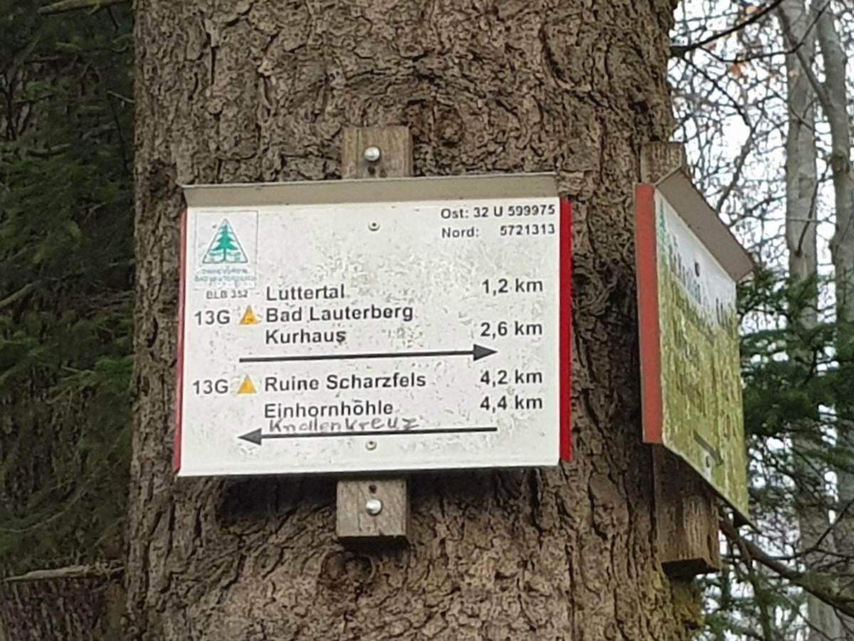 Ferienwohnung "Hagebutze" Mit Sauna Und Schwimmbad Bad Lauterberg Eksteriør bilde
