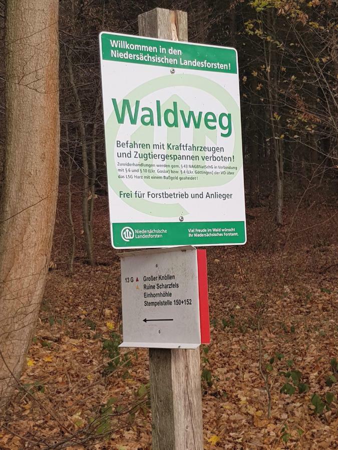 Ferienwohnung "Hagebutze" Mit Sauna Und Schwimmbad Bad Lauterberg Eksteriør bilde
