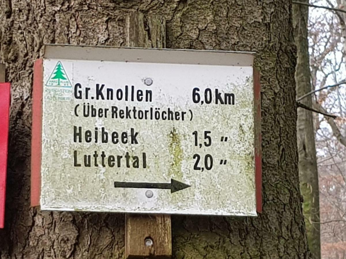 Ferienwohnung "Hagebutze" Mit Sauna Und Schwimmbad Bad Lauterberg Eksteriør bilde